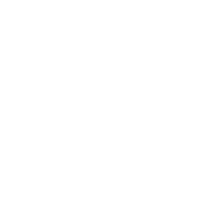 EV Charger Img